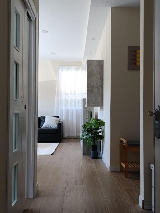 Amplio Y Tranquilo Apartamento Casa Salamanca Eksteriør billede